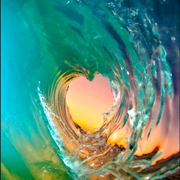 Meet your Posher, Elizabeth - Picture 2 of 6